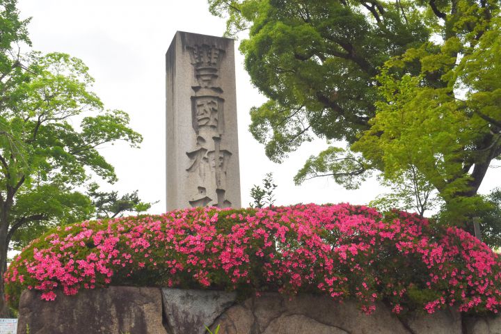 豊国神社の桜