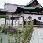 Daikakuji Templeの桜