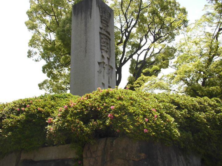 丰国神社の桜