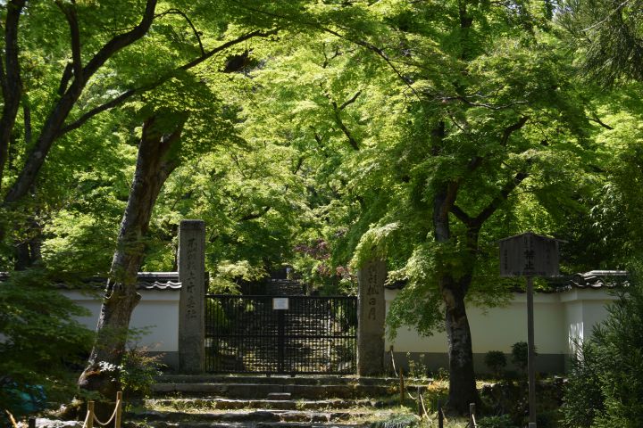 Joju-ji Templeの桜