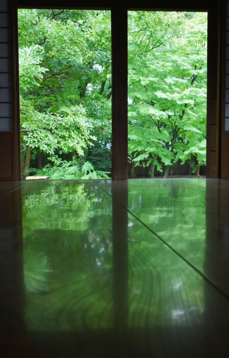 Kan’in-no-miya Residence Site (Kyoto Gyoen National Garden)の桜