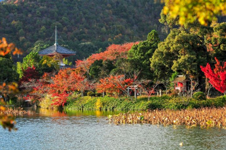 Daikakuji Temple