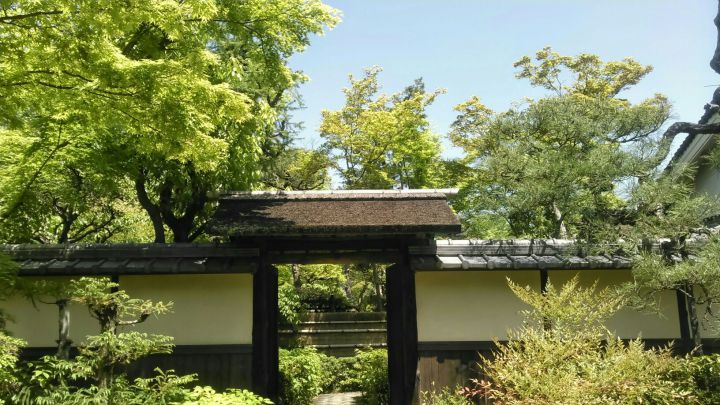 松花堂庭園の桜