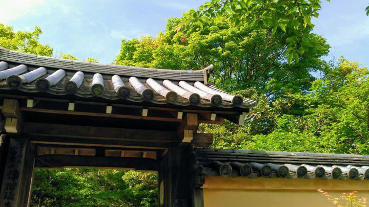 Joruri-ji Templeの桜