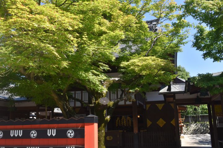Kurumazaki-jinja Shrineの桜