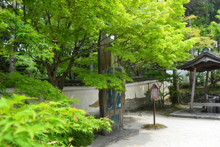 Shuon-an Ikkyu-ji Templeの桜