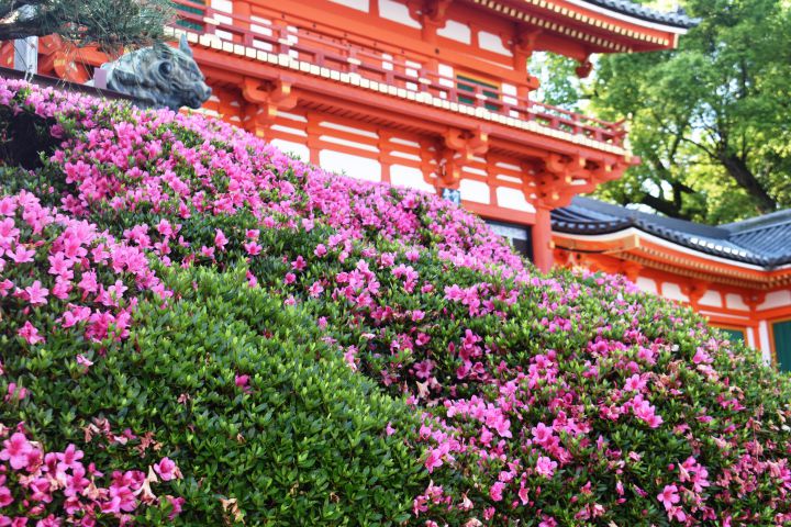 八坂神社