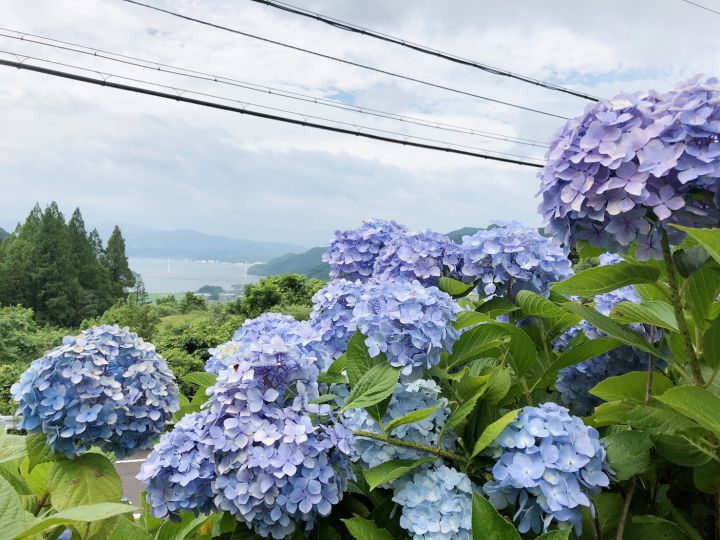 舞鶴自然文化園