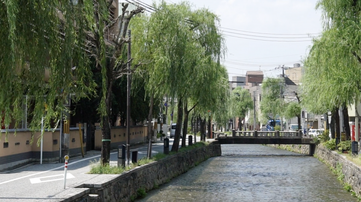 散歩に最適な京都白川の魅力を紹介します。